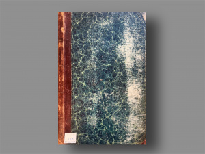 Живая хроника дворовой жизни в старой бухгалтерской книге 1880-х годов