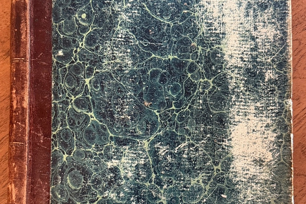 Живая хроника дворовой жизни в старой бухгалтерской книге 1880-х годов