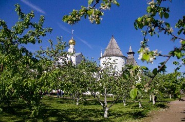 Митрополичий сад