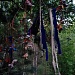 Сарское городище