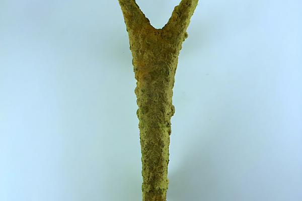 Археологические находки: мерянский  топор X века