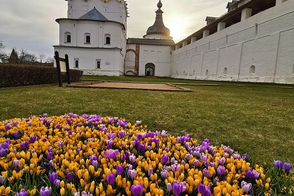 Цветочное сердце весны вновь зацвело в Ростовском кремле