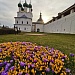 Цветочное сердце весны вновь зацвело в Ростовском кремле