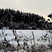 Сарское городище