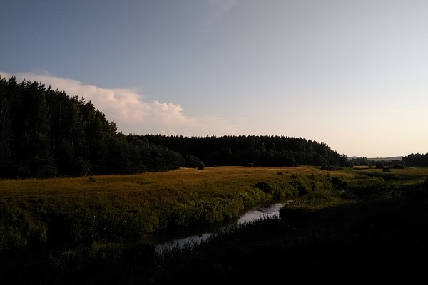 Сарское городище