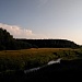 Сарское городище