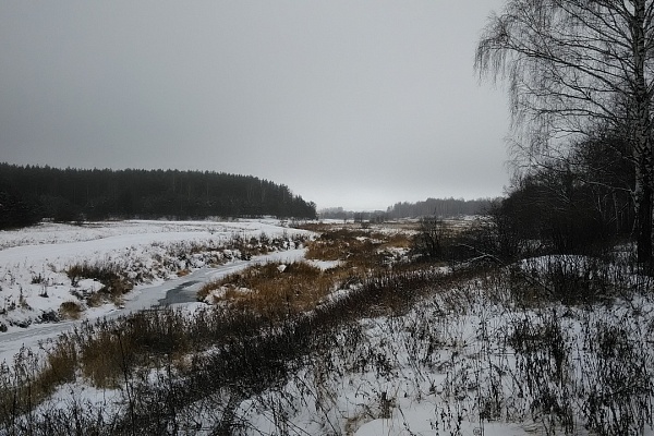 Сарское городище